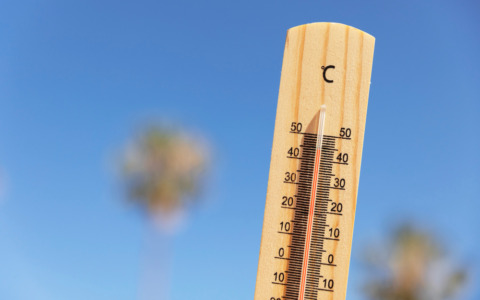 Caldo estremo: 65mila vulnerabili nel Mantovano, allerta per bimbi e anziani