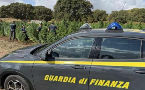 Rinvio a giudizio per un’organizzazione che truffava anziane
