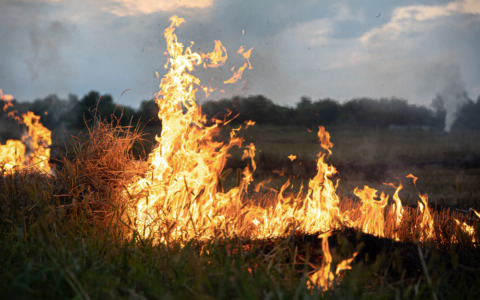 Incendio sul tetto di un’azienda beverage ad Asola