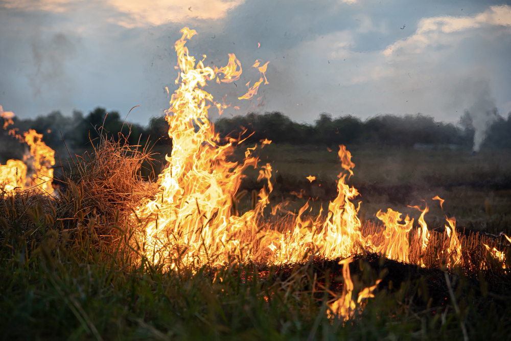 Incendio sul tetto di un’azienda beverage ad Asola