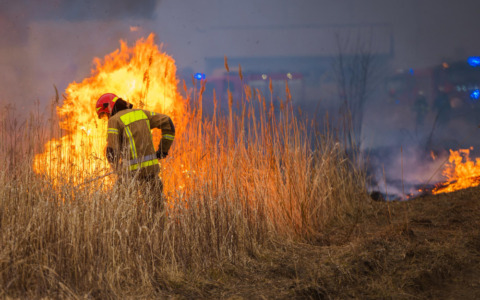 Incendio devasta ex uffici Caem, rifugio senzatetto inagibile