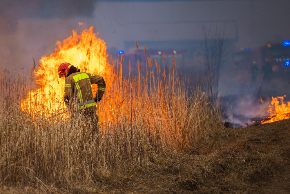 Incendio devasta ex uffici Caem, rifugio senzatetto inagibile