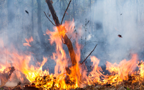 Incendio alla porcilaia, danneggiati 15 pannelli a Roncoferraro