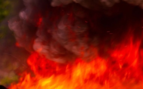 Rogo in una porcilaia a Roncoferraro, bruciati 15 pannelli
